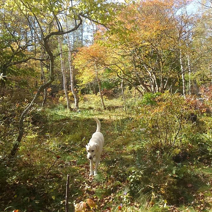 A54facfd 2e83 4039 bc8c 5618867e5814