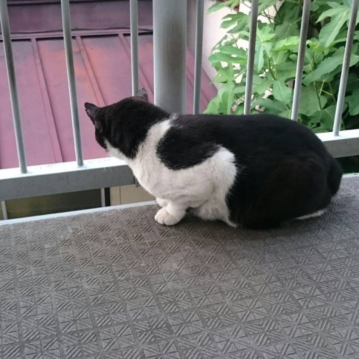 A5501962 e755 4dcc b269 50441aac702e