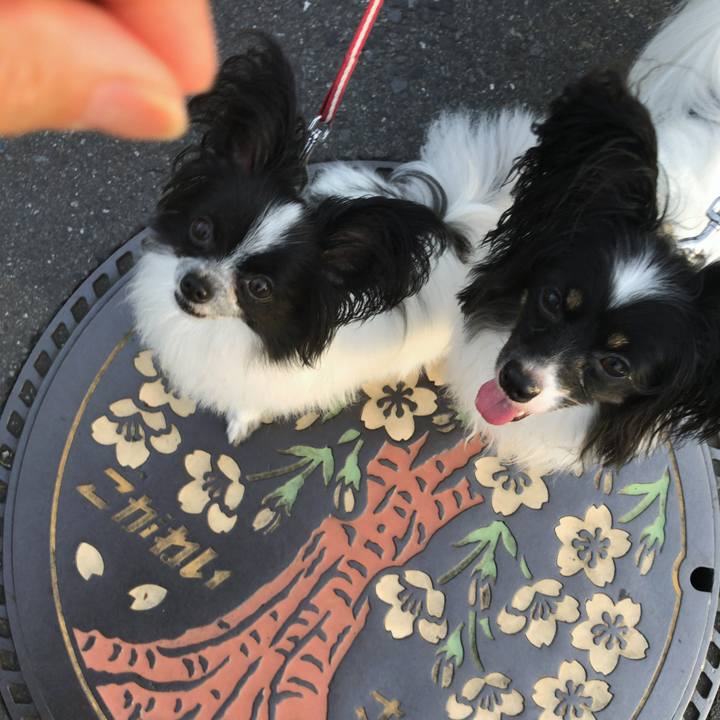 A5505a3d 12cc 4e56 8735 ab7192bba95d