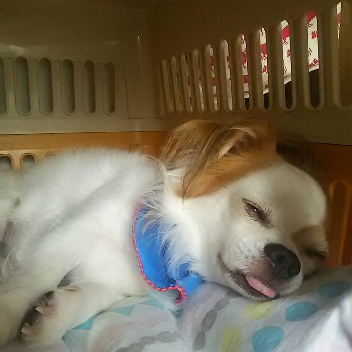 A55077c8 5434 4e7b 8ea1 5d6af8938a03