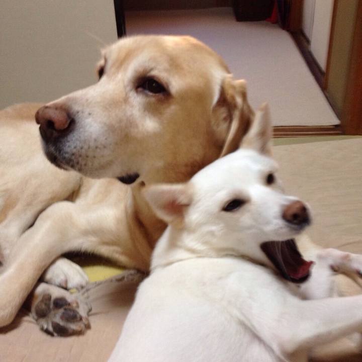 A550a3c8 caa6 4525 ace8 c14322804559