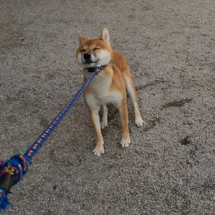 A55158d2 7f02 4cc0 b359 a7056eb07e15