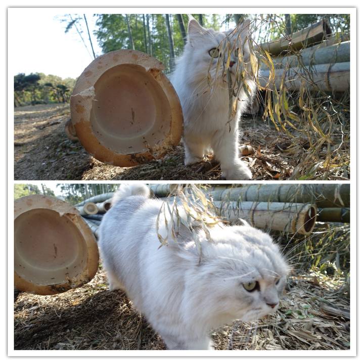 A5519587 417a 4f8a 9d3e 38a828da6d0d