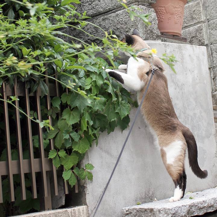 A551b84e f456 41bf aa3a 45d5d641ff1c