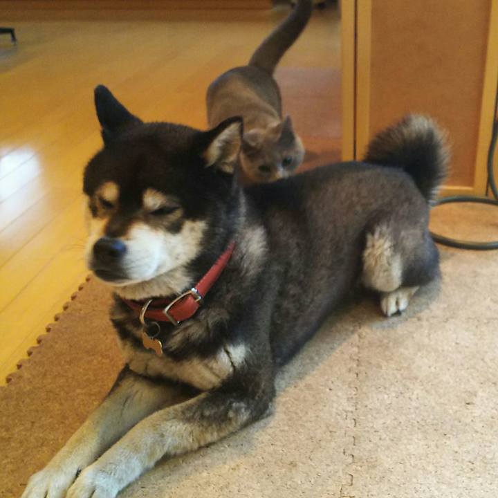 A551bca1 7bb7 4bbd a1cb 1957ee271660