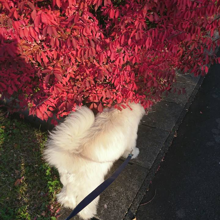 A5523c7d 6005 4da0 81db 73373f08e574