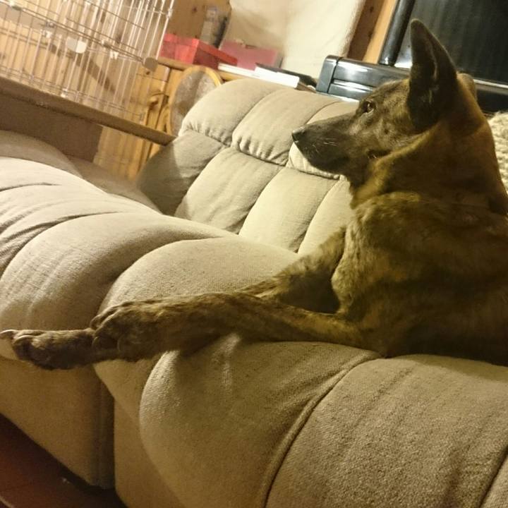 A552b0f2 ad59 4218 815c 1f5f54c486d2