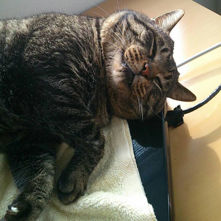 A5530117 003c 4c9a bf87 b927ba1a8acc