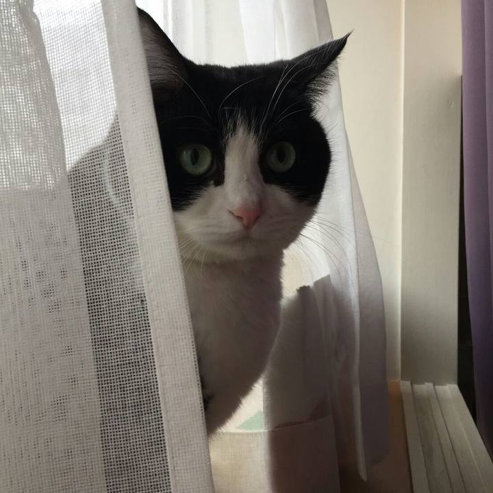 A55394a1 1fcb 422f b346 c31286ddfdd7