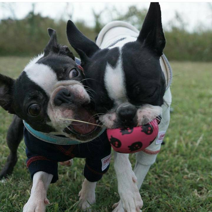 A5541792 0ca5 4ac0 9120 3bd4192615ac