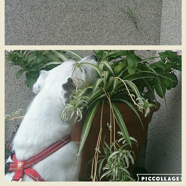 A5542b56 1e29 4fcf 8255 62e701d44372