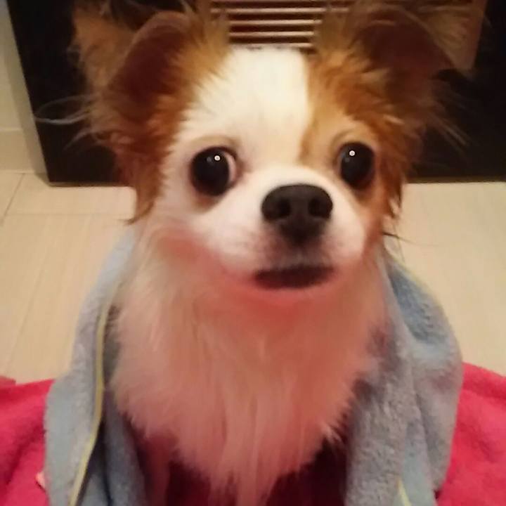 A55458e0 4bd9 4869 b49f 640d4dfd14f9