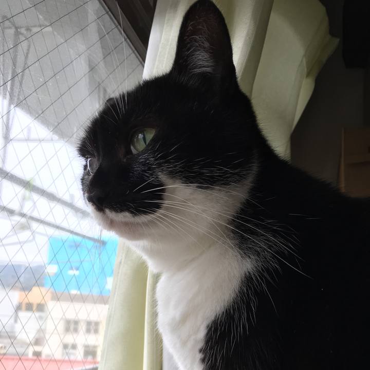 A5546ae2 1238 4d3c a2ab 745a35cd93e2