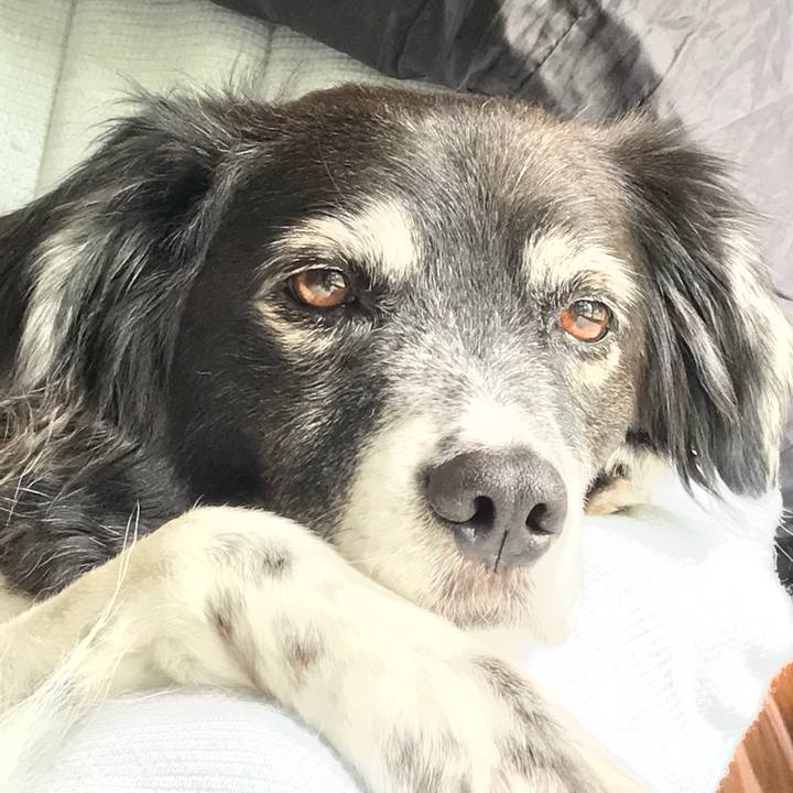 A554d2ba e53f 4f07 968e 875b1bf967f3