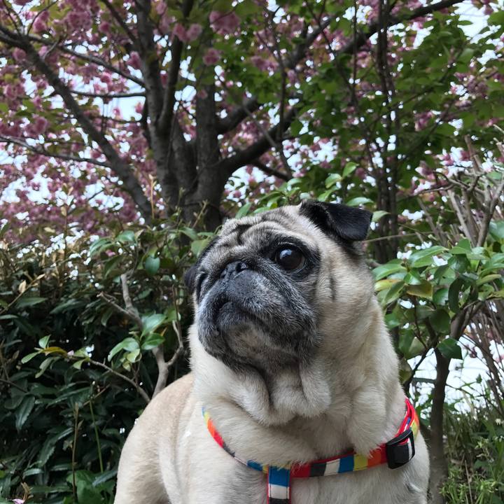 A554f938 5c7d 4457 a691 87ced2d1863c