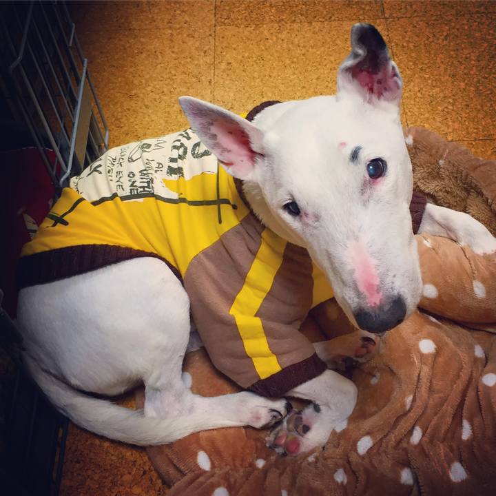 A555541e 5f3f 4149 8963 00bef9b51fd6