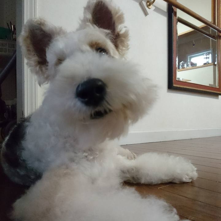 A55574e5 1037 45e7 a086 dd30674ca895