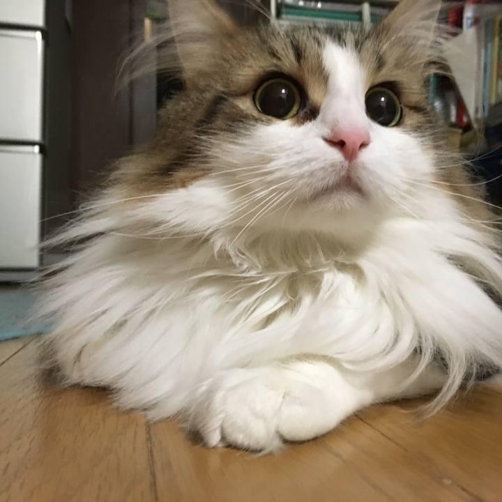 A5568e53 5edc 44bb 8d89 079b01ea7ad7