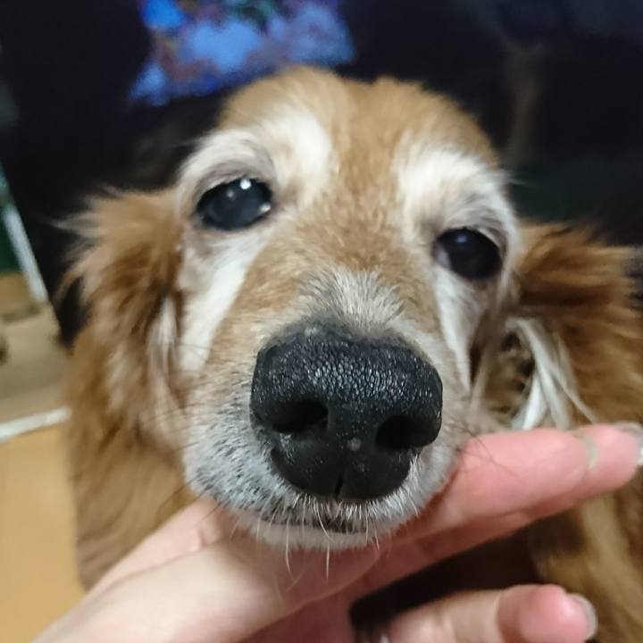 A5569ec5 1f4a 43d6 b685 5063a1e1e313