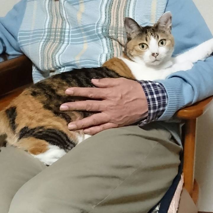 A5574edc f645 45df baa8 5f2b19b3e6fd