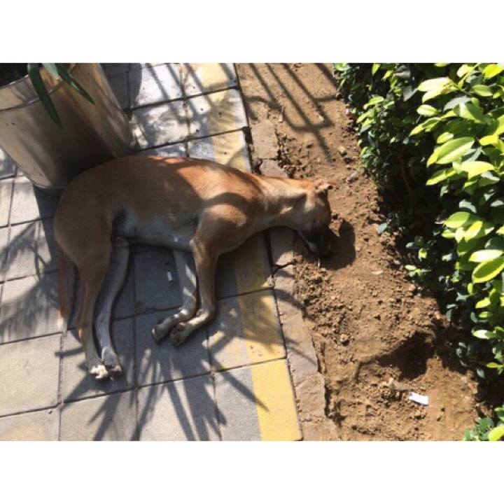 A557bfe1 0ffa 4a69 8265 c3b483ed3fb9