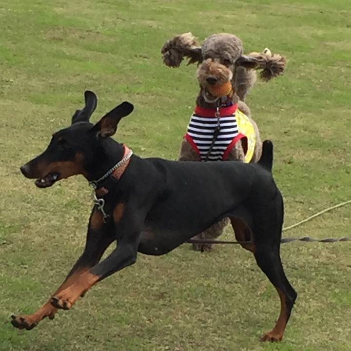 A557f794 9671 4e7d bb10 6f6651d9986d