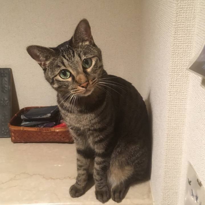 A558f494 a40d 4a14 863e 2e61002554d0