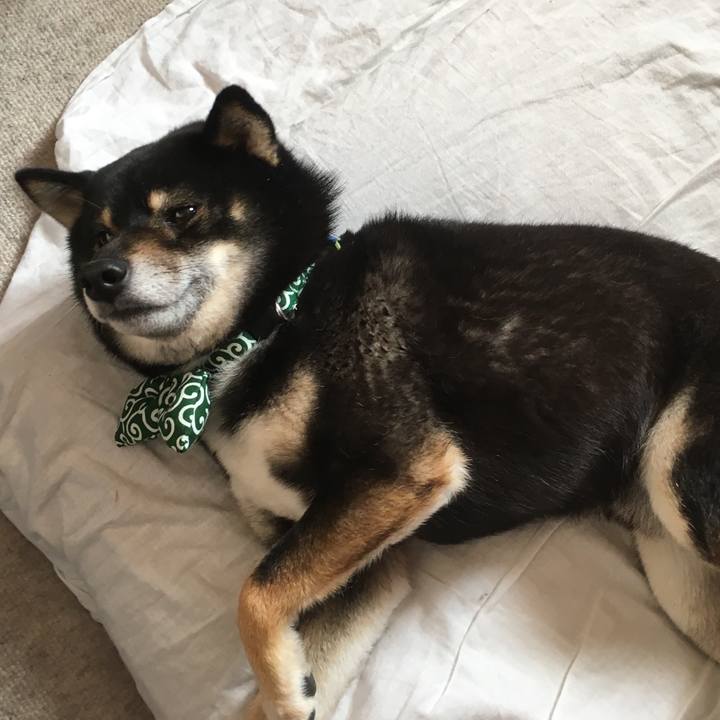 A55a9cd7 3e9a 479f a641 3e7a5ecc889b