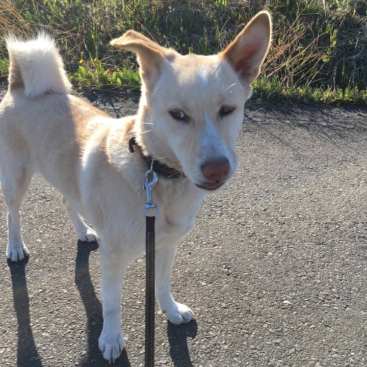 A55b4238 f78f 42d1 ac11 11206bc47033