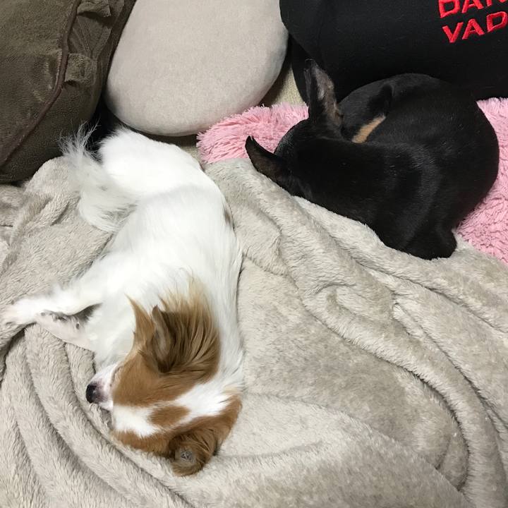 A55bf3ff 2d89 4297 87fc a41597b206ca