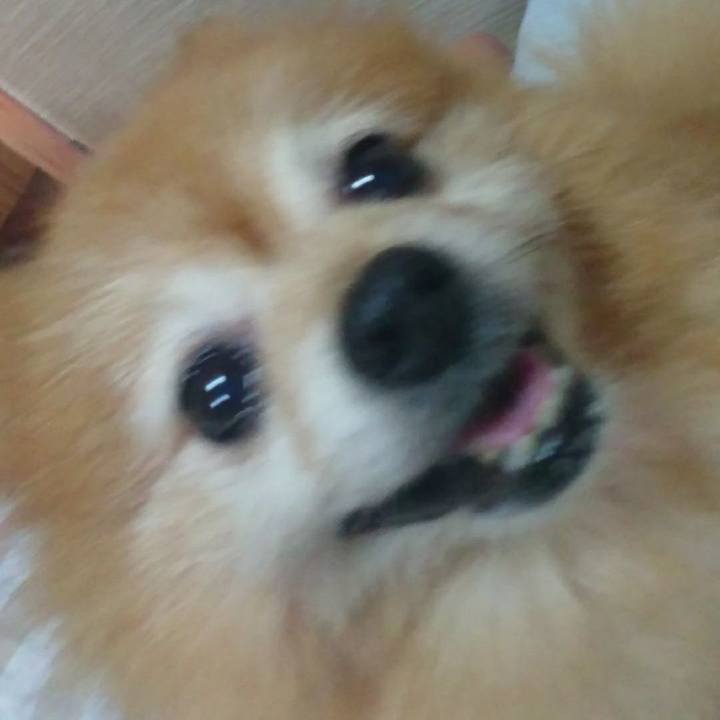 A55c38ed 67e3 42a0 8772 b99868538599