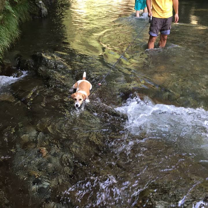 A55cce15 0c0e 4641 8c0c 586fc917ddd4