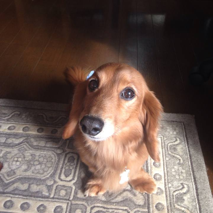 A55d93a1 3dd0 4803 8c56 8006ca383708