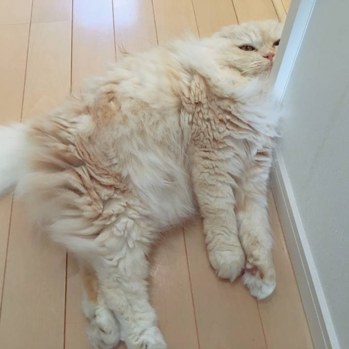 A55d9f28 05f5 480c 8e39 9c2f974be110