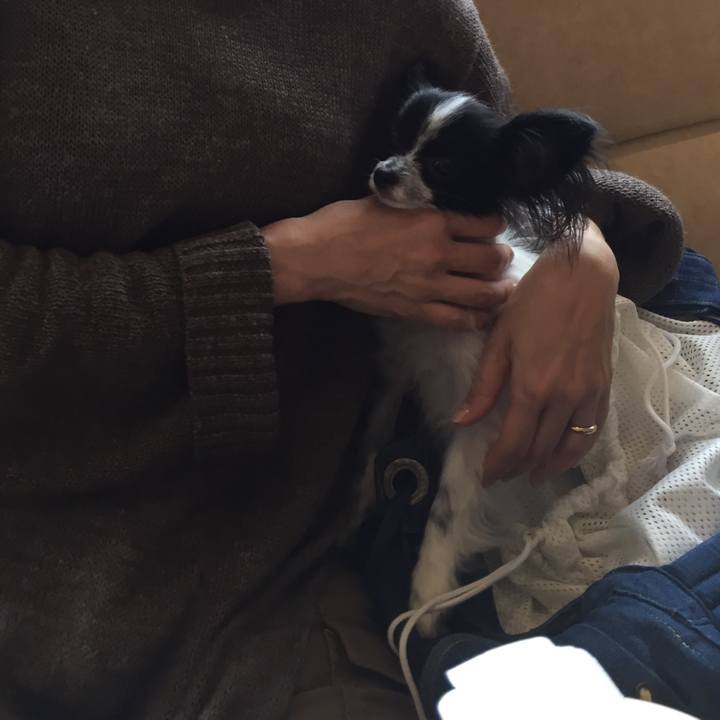 A55dd1c9 e90a 41d9 972e 0c7473ff2561