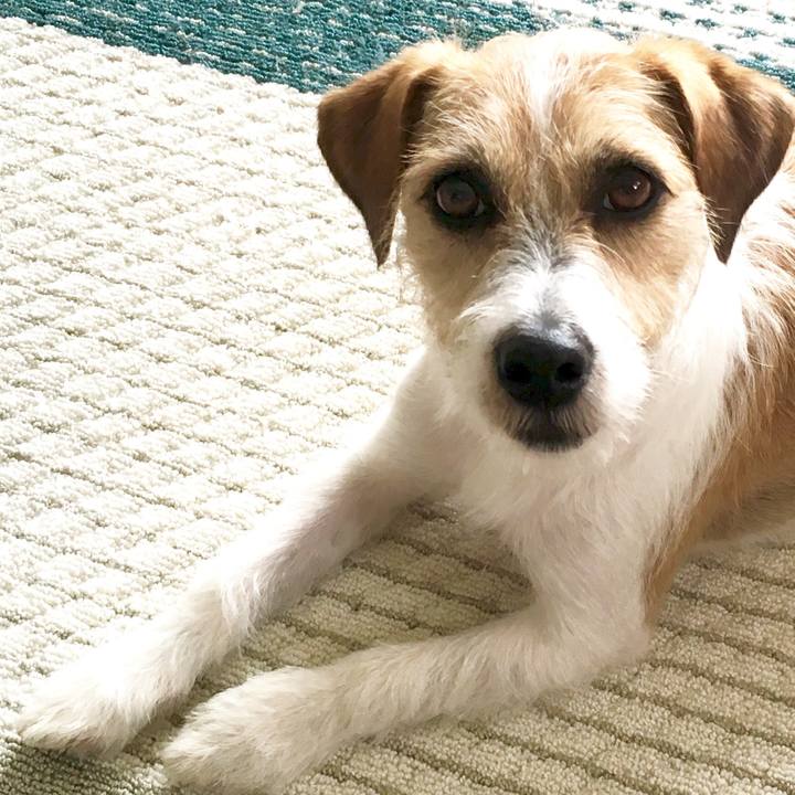 A55ddd5d 4731 46f2 9c2d 74ab96ff7ec6