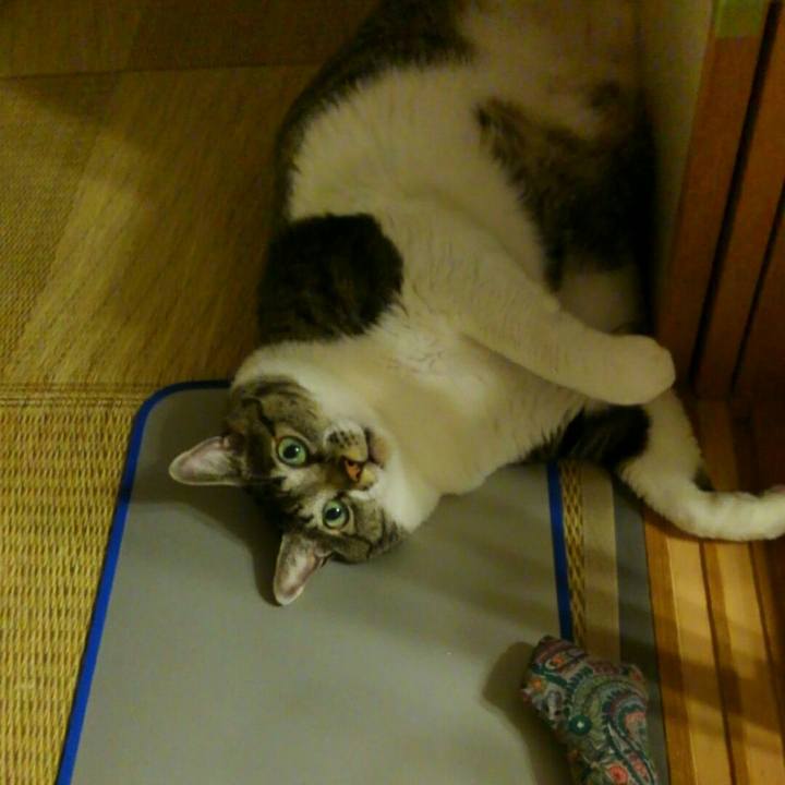 A55e00d2 0182 4a7b 983a a4efd46e3f09