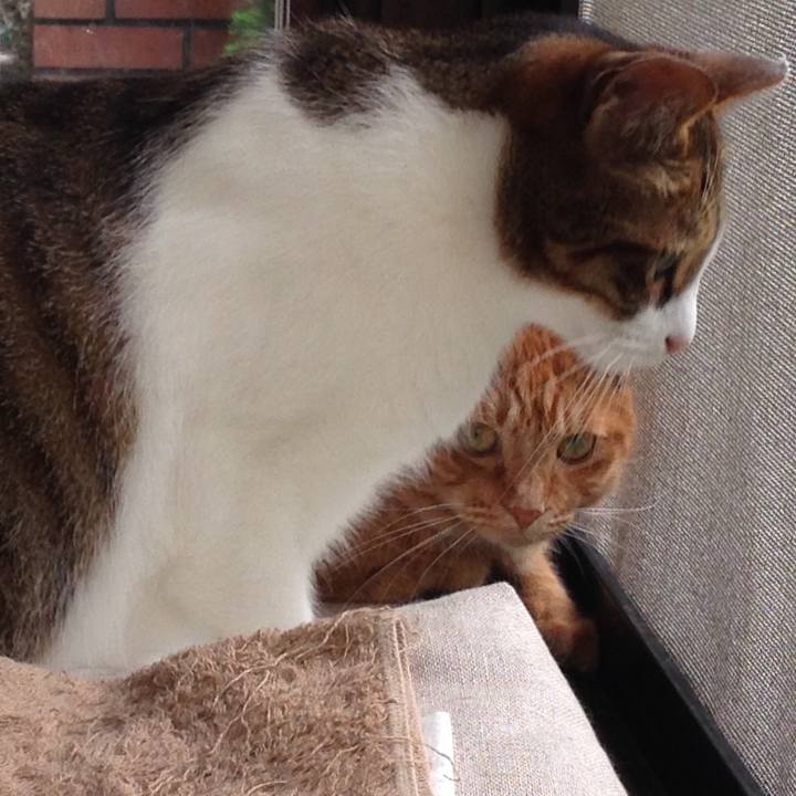 A55eba47 b84b 463c 9d40 d68419d398b4