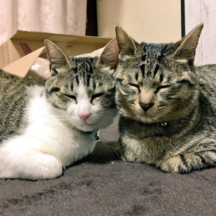 A55ec23f a2ae 48df 9b3b df1e0aca9aef