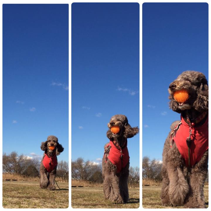 A55f62f2 eb87 43b2 be8a 9c872c9fc96b