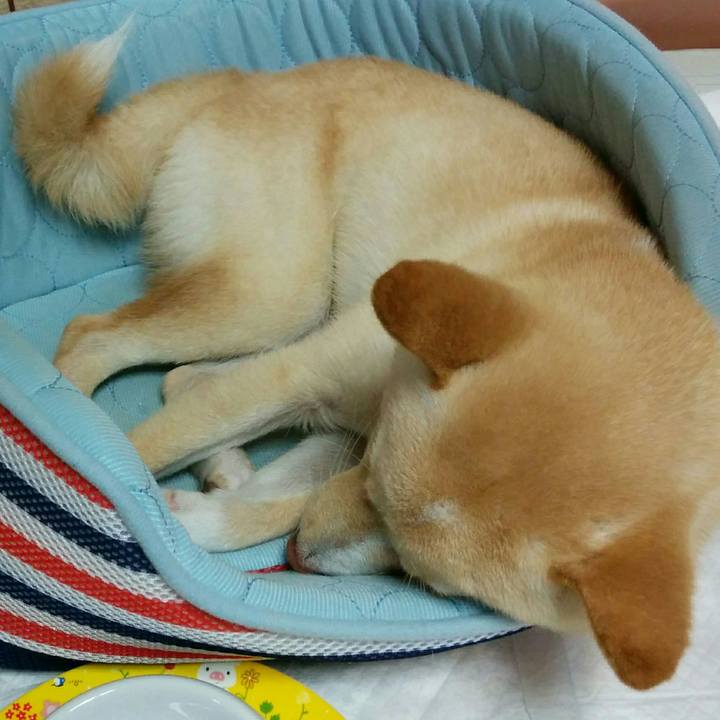 A55fb334 235c 4bcb 8f17 e063a8747ed1