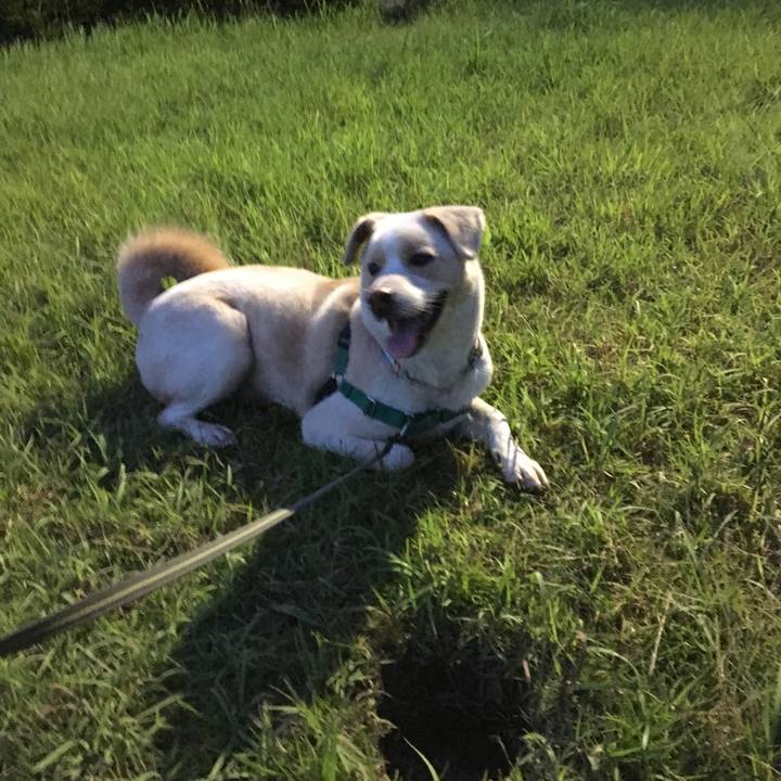 A55fb63f eaae 48a8 a089 a1e42f2e720f