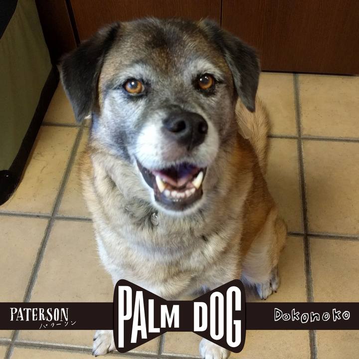 A55fd59d 426a 4218 a0b0 599358e1b76a