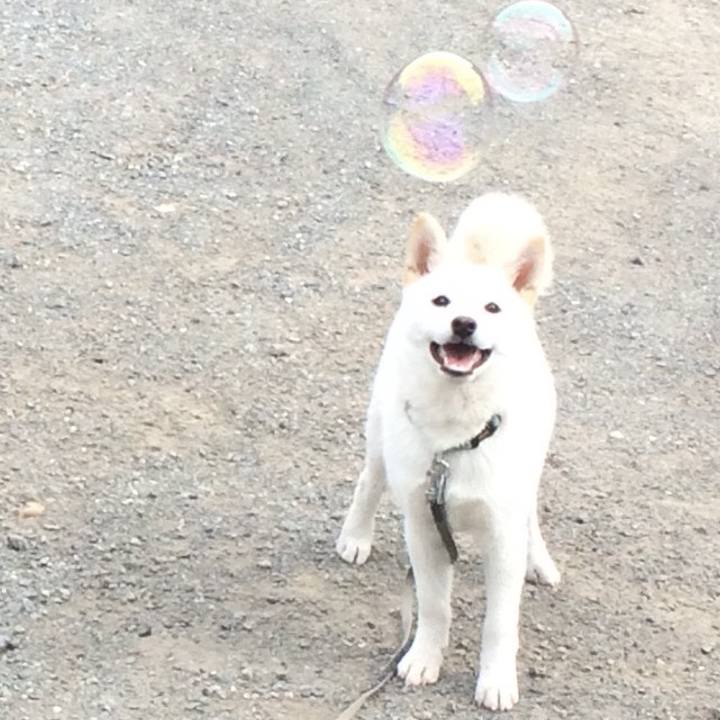 A560439b 3500 4a77 a1c7 2d07bcf5e080