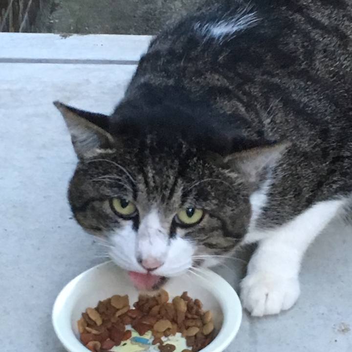 A560d559 25b2 4665 afb7 9b1176a5af3f