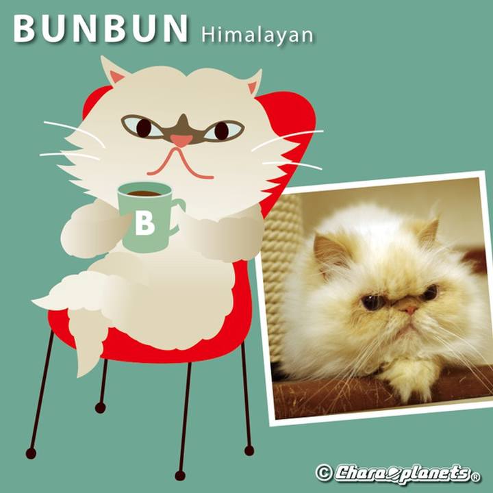 A561f691 0cfb 4c70 a3dc 5fc04d5d6ab2