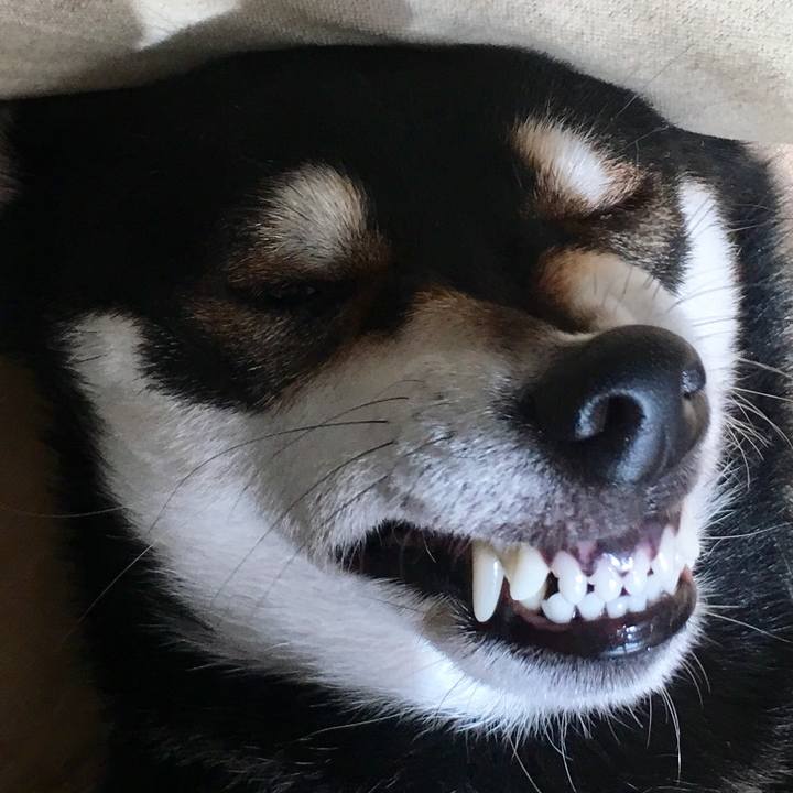 A56214db 9158 4715 a1ac edd502bbd860