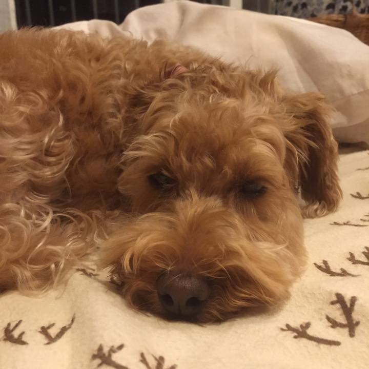 A5624bbc c1ea 41cc 9514 f72c1545b149