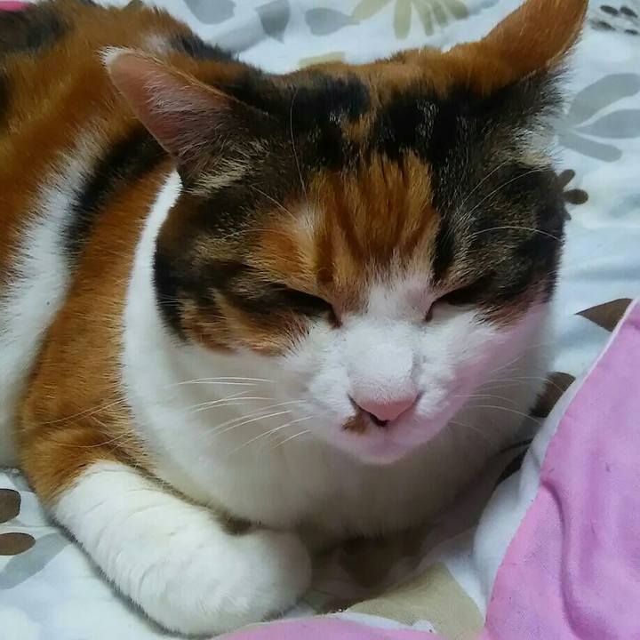 A5624cdf 91b5 4524 ae42 81a13c8c5543