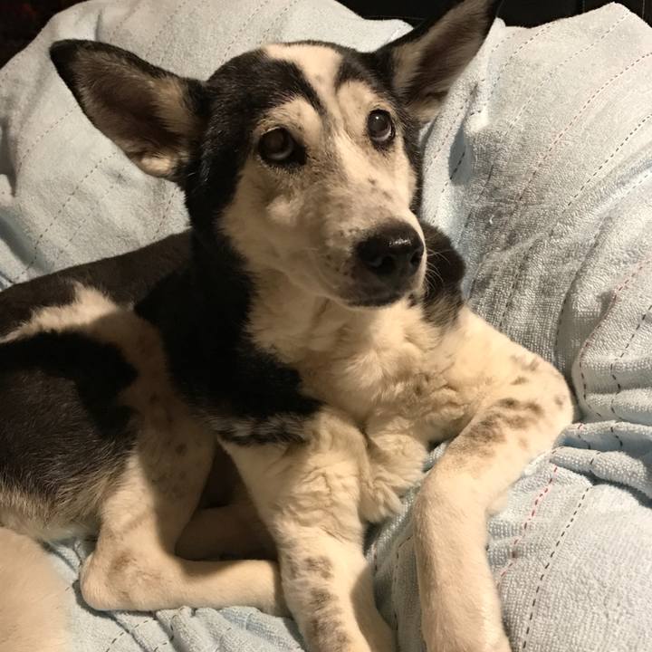 A562d6e6 7d5a 46d9 991f 14c4a1d85173